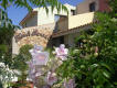 Hotel Bonsai en San Teodoro